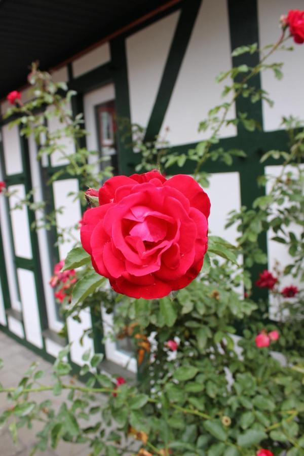 Gemuetliches Fachwerkhaus Im Herzen Nideggens 外观 照片